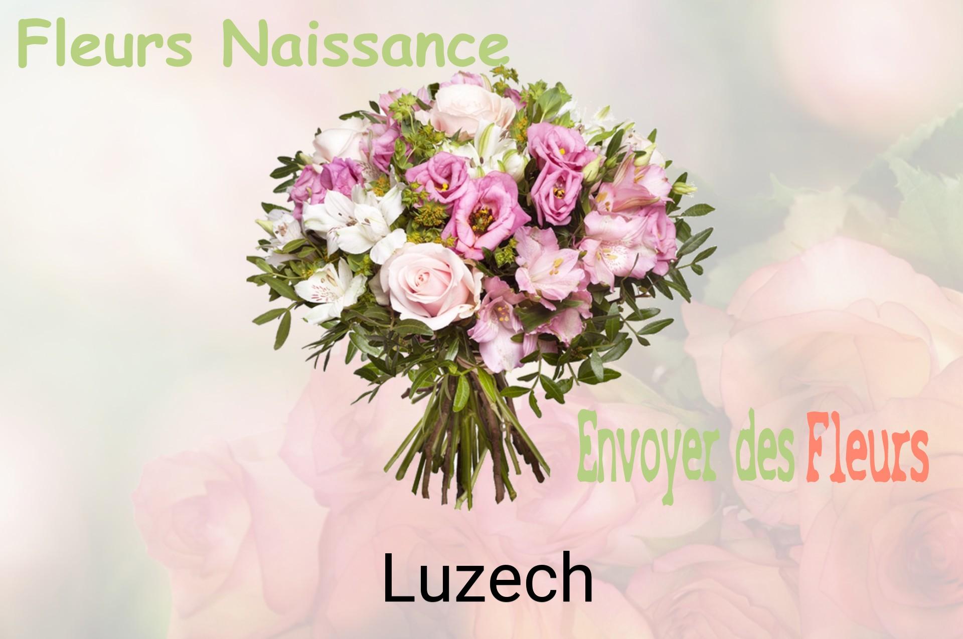 Bouquet de fleurs de naissance livré à Luzech