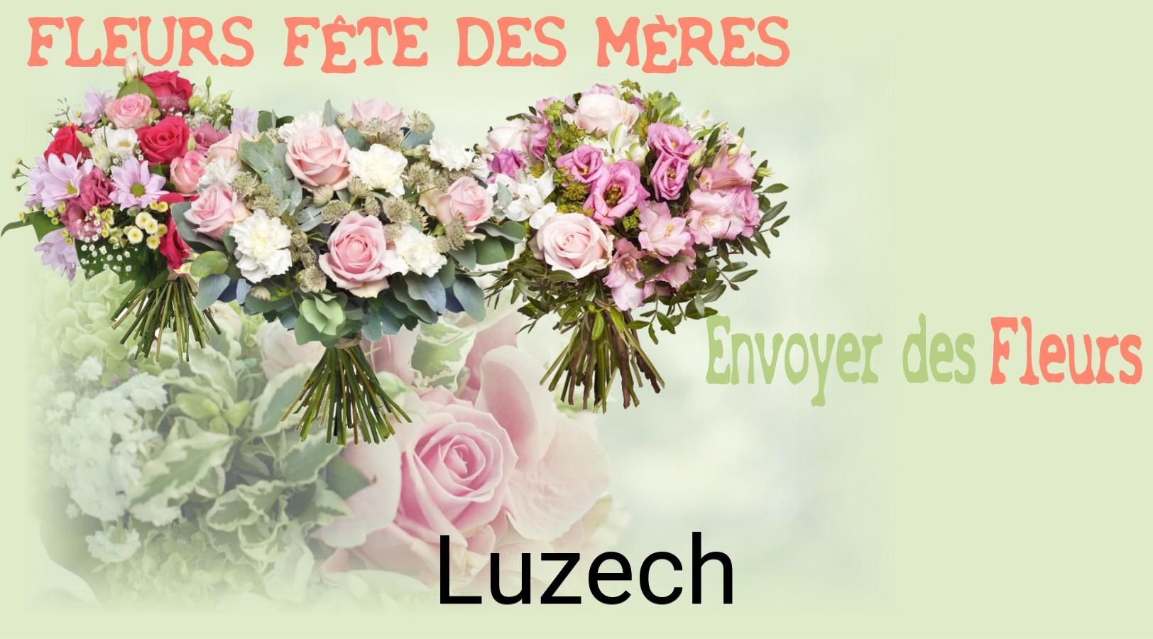 Bouquet de Fête des Mères livré à Luzech
